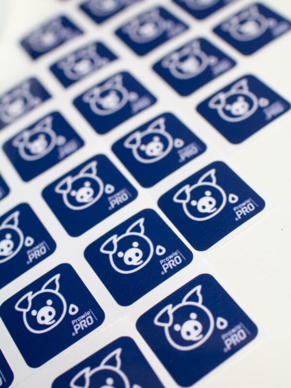 Naklejki Prawie.PRO PROsiak folia PROstokąt duże 18 szt.